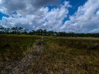 50 km finisher coming in through the pond and muck