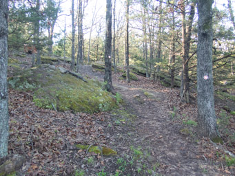 North canyon section