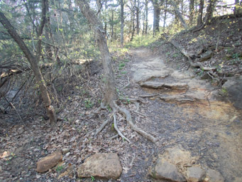 Hill after the road section, heading back to the shelter.