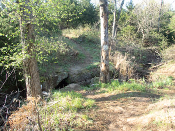 Leap O' doom, again.