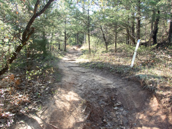 Early on the SW trail