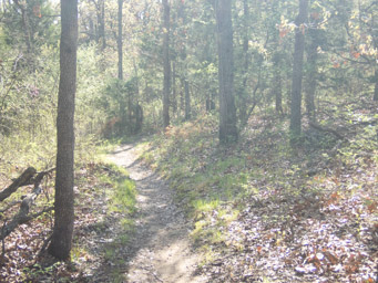 Very sunny. It got hot!