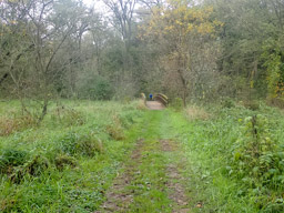 In the distance, the Bridge over Catfish Creek
