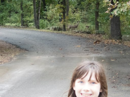 Doe and fawn behind Jeralyn.