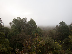 Misty view from the Tower.