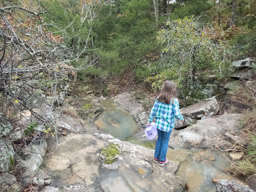 Exploring a cool waterfall and pool on the Bluffs Trail.