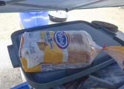 Bread. Attacked by an evil, Grey Squirrel.