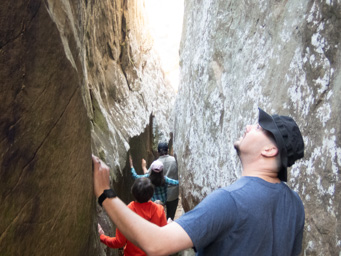 It's narrow but we can make it through.